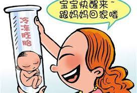 同性供卵代怀服务怎么收费